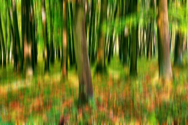 Forêt Abstraite Les Couleurs Brillantes Forêt Selon Les Impressionnistes — Photo