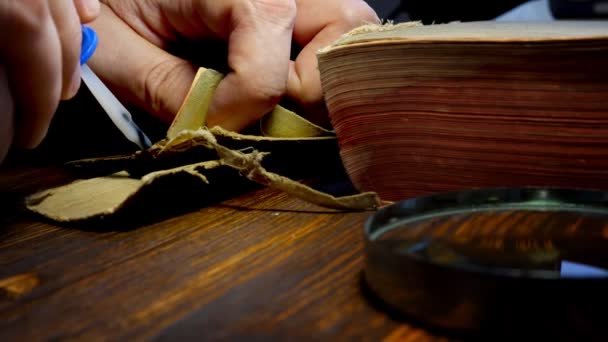 Închiderea mâinilor cu o perie care aplică adeziv pe coperta unei cărți vechi pentru reparații . — Videoclip de stoc