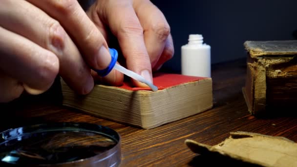 De meester lijmt de omslag van een vintage boek. Reparatie en restauratie van een oud boek als hobby. — Stockvideo