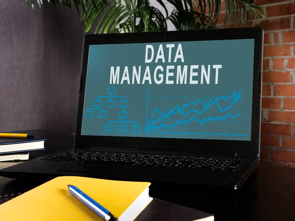 Data management info on the laptop screen. — Stock Photo, Image