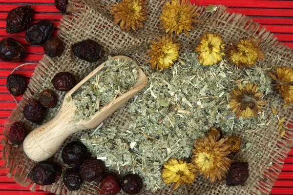 Traditional herbal medicine ingredients. — Stock Photo, Image