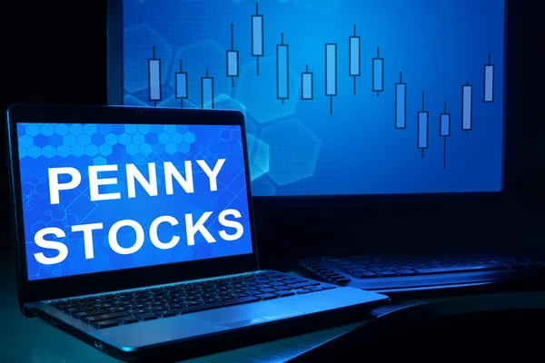 Computer mit Wörtern Penny Stocks. — Stockfoto