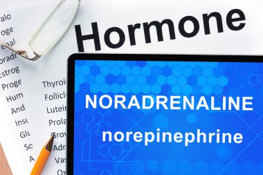 Papers with hormones list and tablet  with words noradrenaline (norepinephrine) . clipart