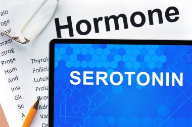 Kağıtları hormonlar listesi ve Serotonin kelimelerle tablet ile.