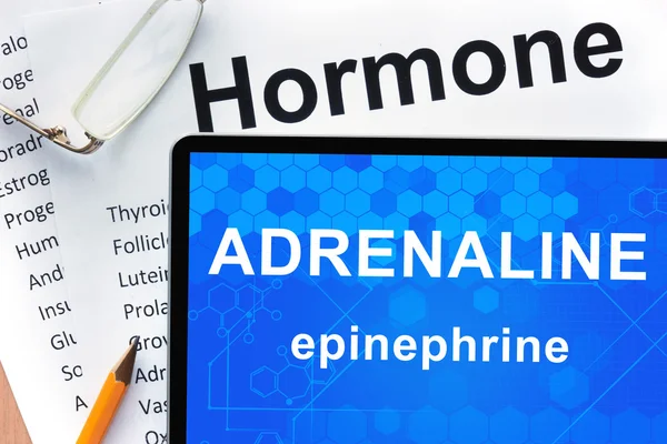 Papper med hormoner lista och tablett med ord adrenalin (epinefrin)  . — Stockfoto