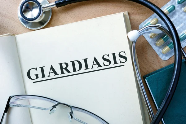 Giardiasis concept. Boek met stethoscoop en pillen. — Stockfoto