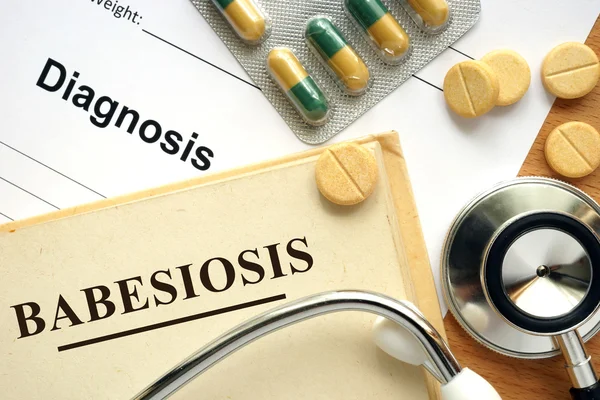 Word Babesiosis  on a book and pills. — Stock Photo, Image