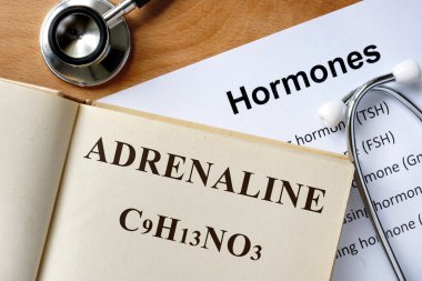 adrenalin kelime kitap ve hormonlar listede yazılı.