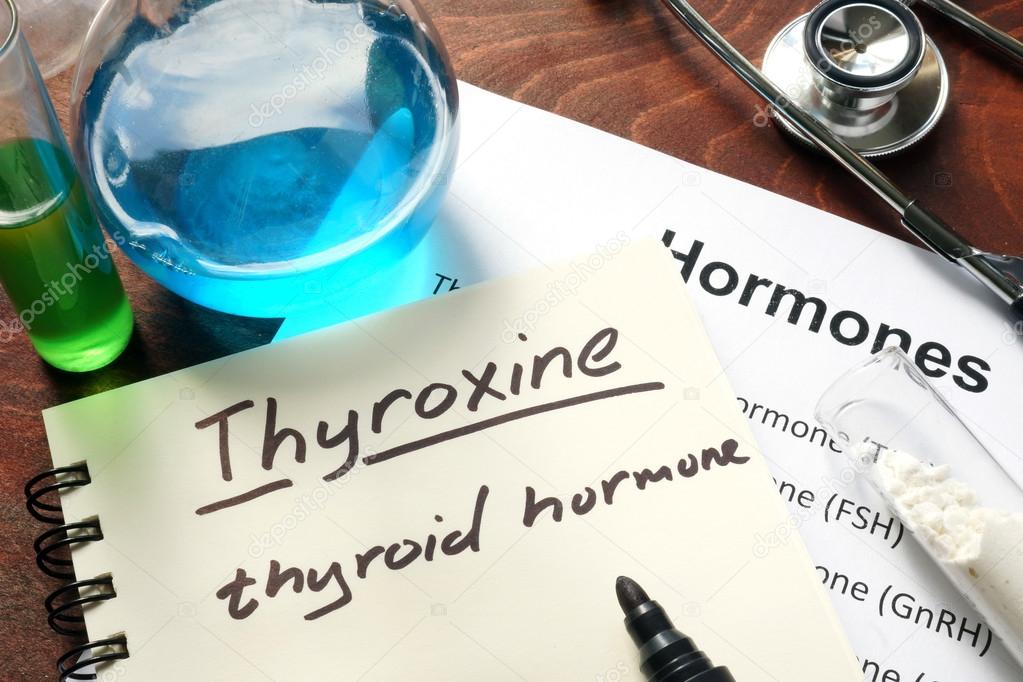 Hormone thyroxine  written on notebook.