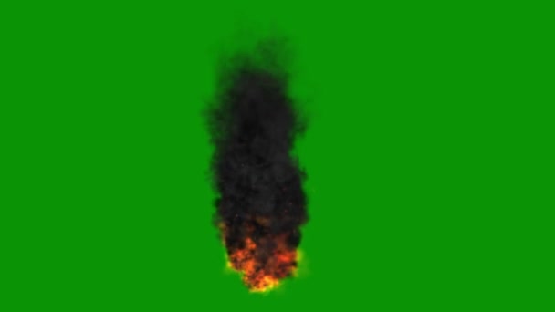 Wütendes Feuer Und Schwarze Rauchbewegungen Mit Grünem Bildschirmhintergrund — Stockvideo