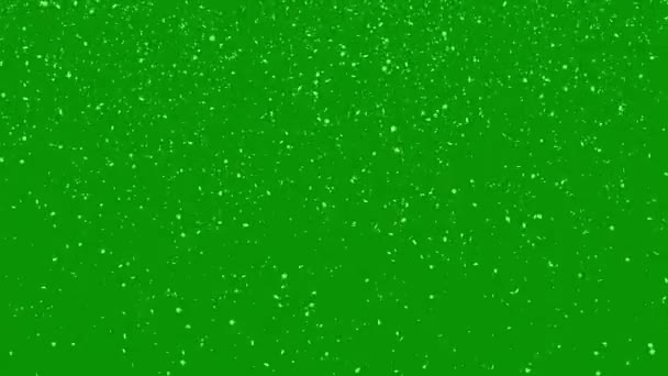 Graphiques Mouvement Neige Avec Fond Écran Vert — Video