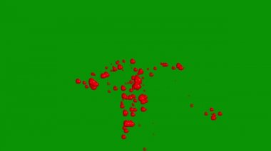 Yeşil ekran arkaplanlı kırmızı kalpler hareket grafikleri