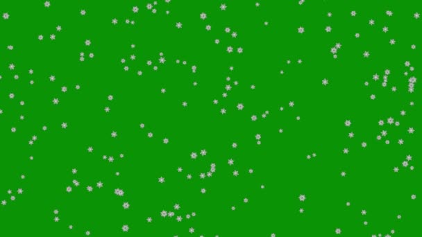 緑の画面の背景を持つ雪のフレーク運動グラフィック — ストック動画