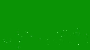 Yağmur yeşil ekran arkaplanlı hareket grafiklerini sıçratır