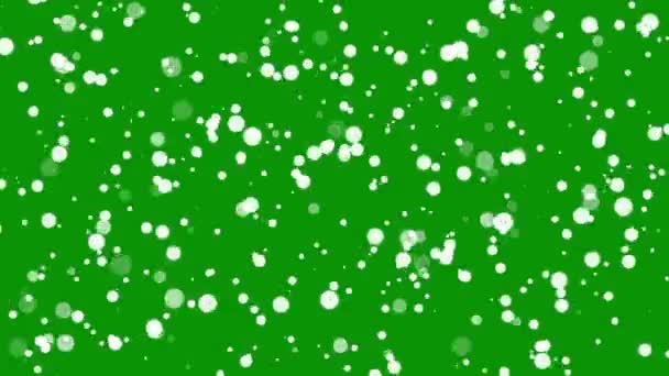 Weißes Bokeh Beleuchtet Bewegungsgrafik Mit Grünem Bildschirmhintergrund — Stockvideo
