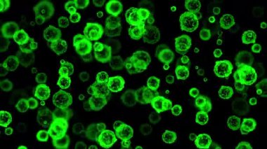 Gece arkaplanlı yeşil virüs parçacıkları hareket grafikleri