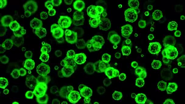 Gece Arkaplanlı Yeşil Virüs Parçacıkları Hareket Grafikleri — Stok video