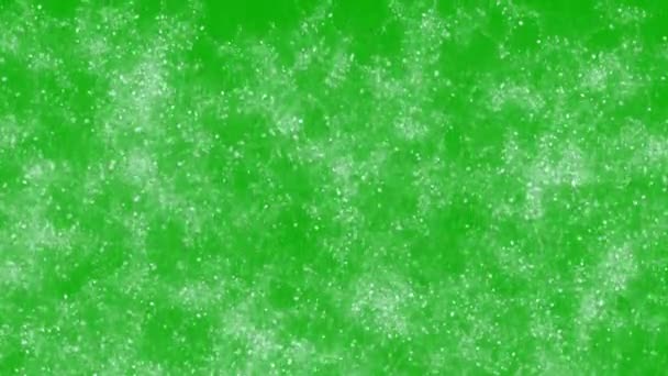 Gráficos Movimento Tempestade Neve Com Fundo Tela Verde — Vídeo de Stock