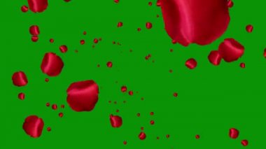 Kırmızı gül yaprakları yeşil ekran arkaplanlı hareket grafikleri