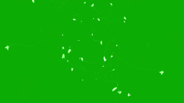 Magia Vuela Gráficos Movimiento Con Fondo Pantalla Verde — Vídeos de Stock