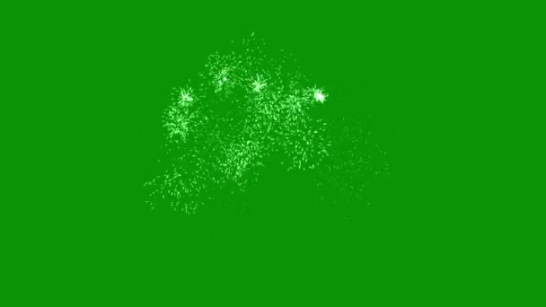 Vuurwerk Motion Graphics Met Groene Achtergrond Scherm — Stockvideo