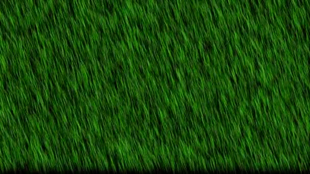 波状の草が映画グラフィックを提出 — ストック動画