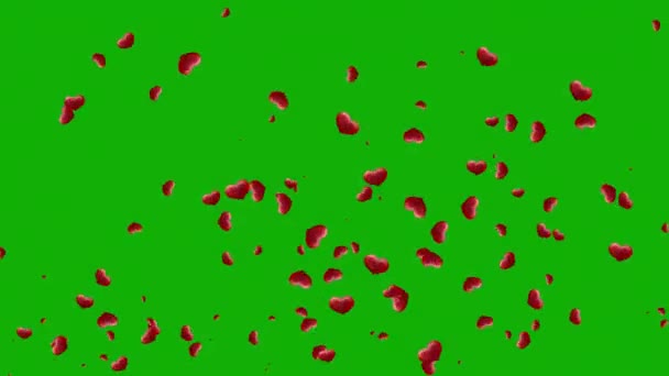 Fliegende Rote Herzen Bewegungsgrafik Mit Grünem Hintergrund — Stockvideo