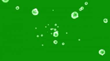 Virus particles motion graphics with green screen background