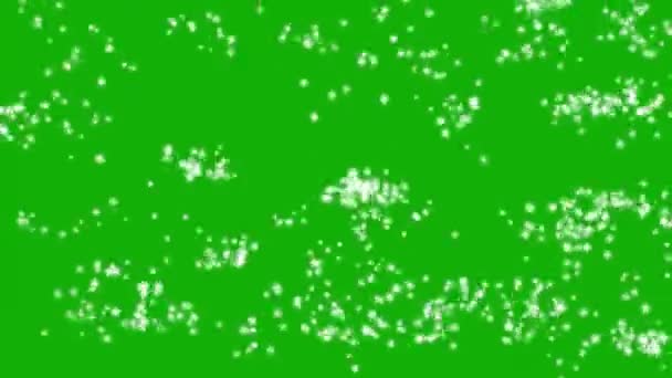Particule Scintillante Éclaboussures Graphiques Mouvement Avec Fond Écran Vert — Video