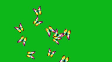 Renkli kelebeklerin yukarı zıplaması yeşil ekran arkaplanlı hareket grafikleri
