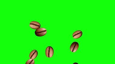 Yeşil ekran arka planlı kahve çekirdekleri hareketli grafikler