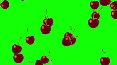 Yeşil ekran arka planına sahip taze kiraz hareketi grafikleri düşüyor