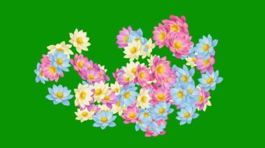 Taze nilüfer çiçekleri fıskiyesi yeşil ekran arkaplanlı akış grafikleri