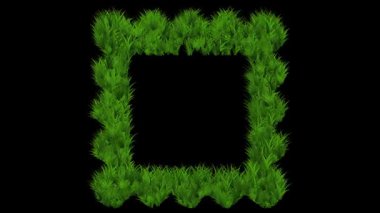 Kare şekilli çerçeve düz siyah arkaplan üzerinde büyüyen yeşil çimen etkisi