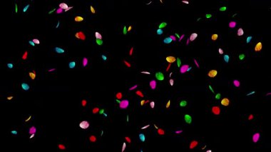 Düşen renkli gül yaprakları düz siyah arkaplanlı hareket grafikleri