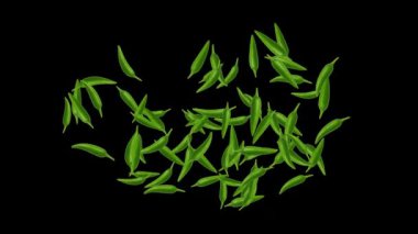 Taze yeşil biber fıskiyesi düz siyah arkaplan ile akış hareketi grafikleri
