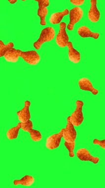 Düşen kızarmış tavuk parçaları yeşil ekran arka planlı hareket grafikleri