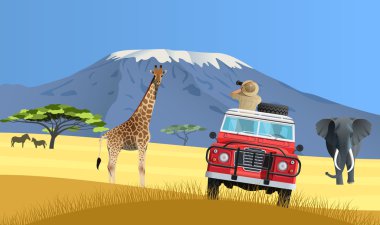Afrika savana kamyonda Safari