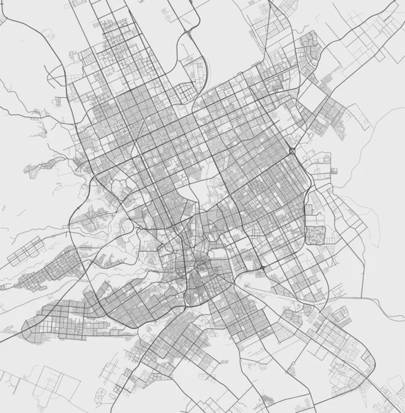 利雅得城市地图 矢量插图 利雅得地图灰度艺术海报 街道地图图像与道路 大都市地区景观 — 图库矢量图片