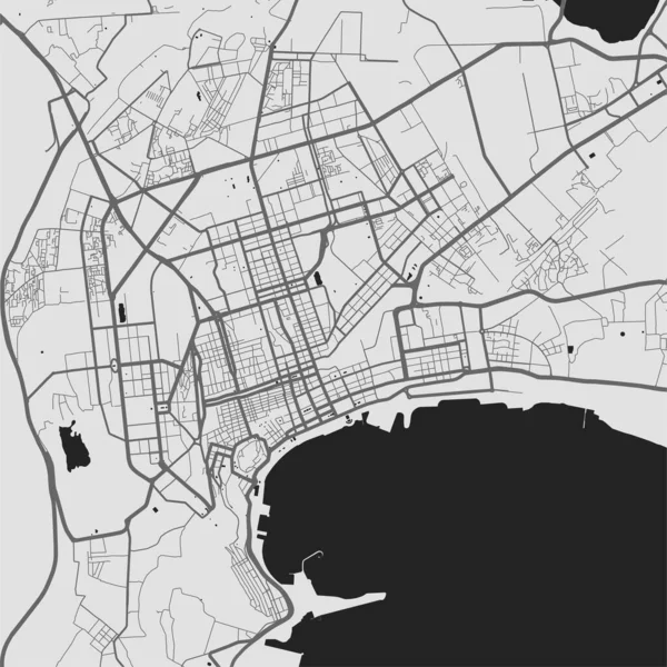 Stadtplan Von Baku Vektorillustration Graustufenplakat Der Baku Karte Stadtplan Bild — Stockvektor