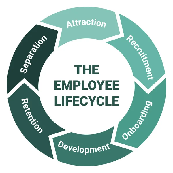 员工的生命周期管理方案 具有吸引力 保留和离职的方法圆形图 白色背景上的绿色矢量插图 — 图库矢量图片