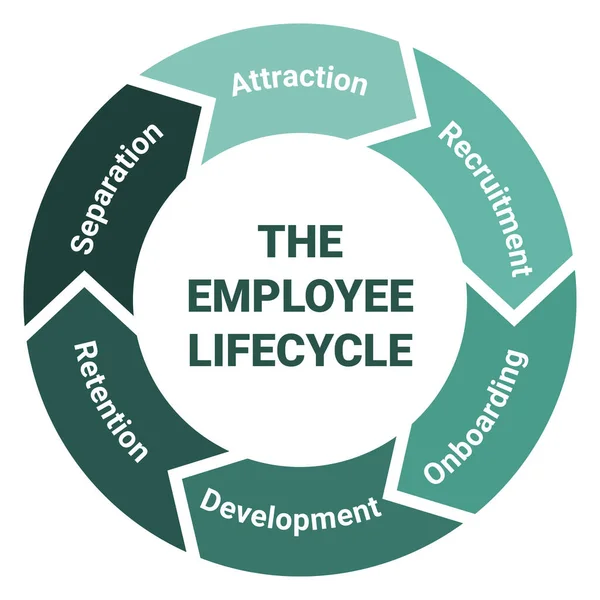 Employee Lifecycle Management Scheme Methodology Circle Diagram Attraction Recruitment Onboarding — Stock Vector