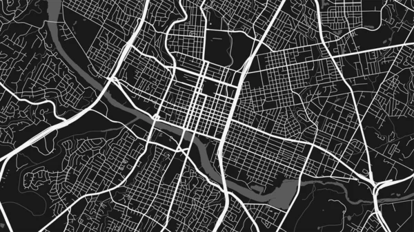 Черно Белая Векторная Карта Остина Улицы Иллюстрация Водной Картографии Широкоэкранная — стоковый вектор