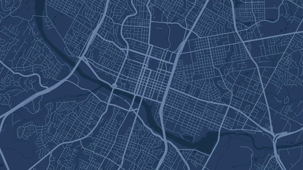 Mapa Fundo Vetorial Área Cidade Blue Austin Ruas Ilustração Cartografia — Vetor de Stock