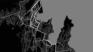 Siyah ve beyaz Wellington şehri vektör arkaplan haritası, sokaklar ve su haritası çizimi. Geniş ekran oranı, dijital düz tasarım sokak haritası.