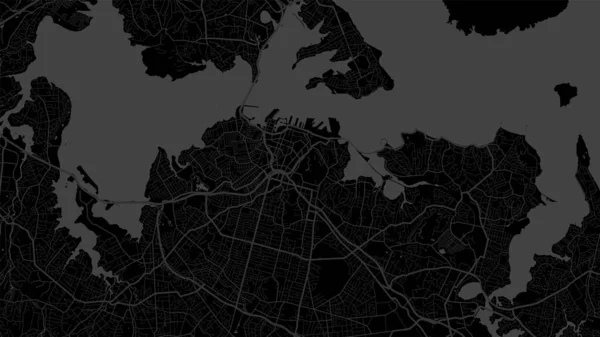 Negro Gris Auckland Mapa Fondo Del Vector Área Ciudad Calles — Vector de stock