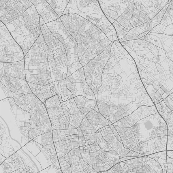 Stadtplan Von Saitama Vektor Illustration Saitama Karte Graustufen Kunstposter Stadtplan — Stockvektor