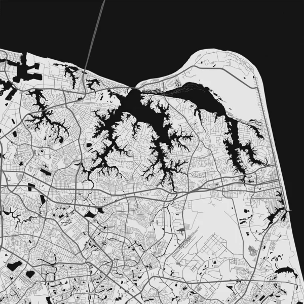 Stadtplan Von Virginia Beach Vektorillustration Virginia Beach Karte Graustufenplakat Stadtplan — Stockvektor