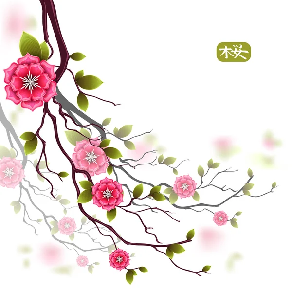 Oriental utformade kort med grenar av japanska körsbärsträd blommor. Hieroglyf är sakura. — Stock vektor