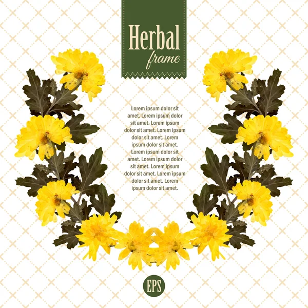 Herbarium wreath of natural yellow flowers — Stock Vector